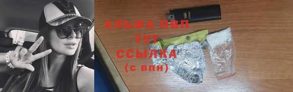 спайс Магас