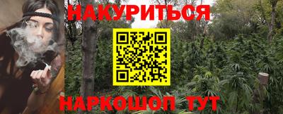 молекула духа Бийск