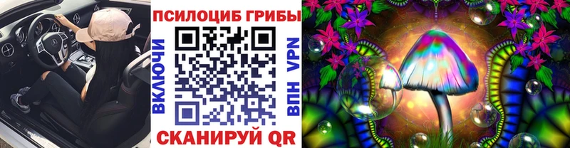 Галлюциногенные грибы Cubensis Карасук