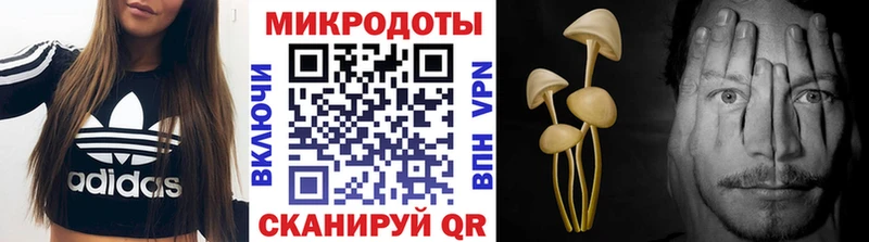 Псилоцибиновые грибы прущие грибы Карасук
