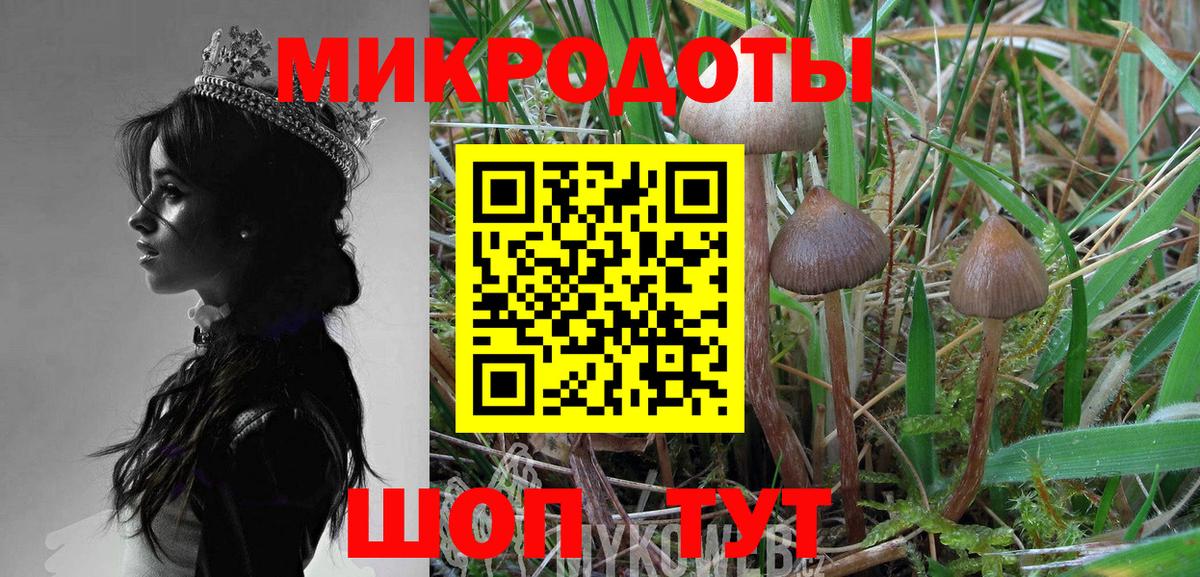 Псилоцибиновые грибы Psilocybine cubensis Карасук