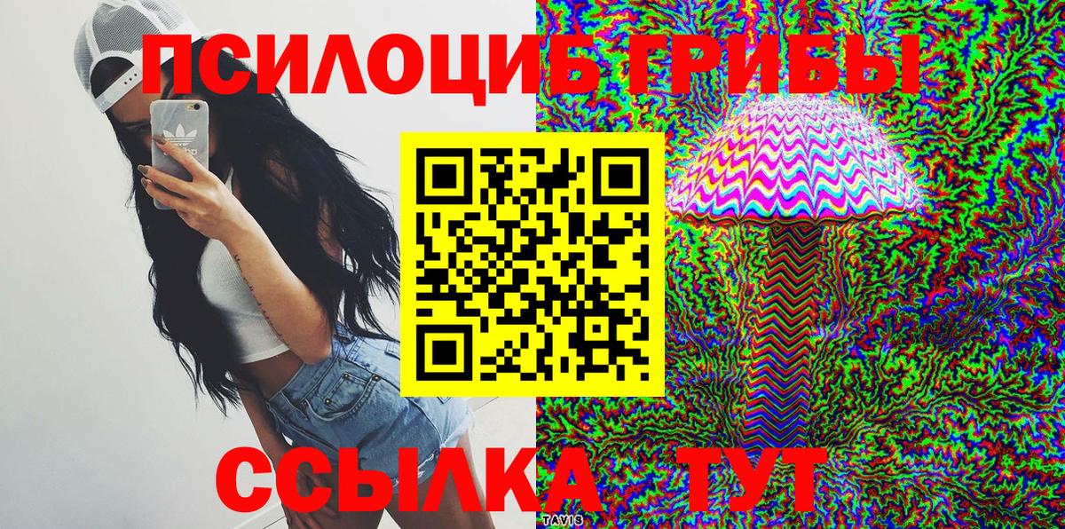 Псилоцибиновые грибы мицелий  Псилоцибиновые грибы Cubensis  Карасук  Вход с VPN 
